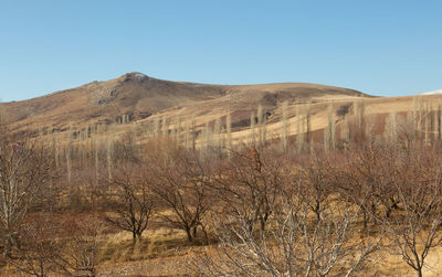 Scenic view of sand dunes against clear sky