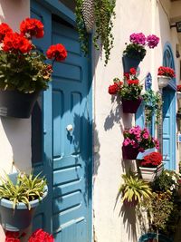 Malta blue door in marsaxlokk