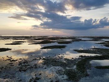 Scenic view of sea during sunset