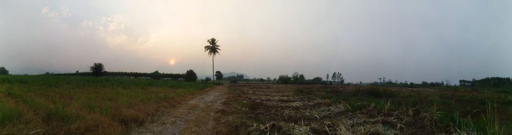 Panoramic view of field against sky during sunset
