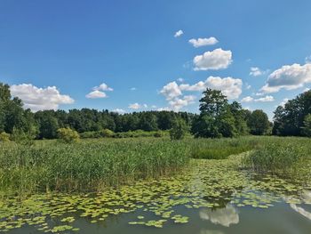 Scenic view of lake against sky