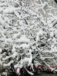 Full frame shot of snow covered field