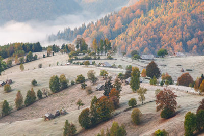 High angle view of trees on landscape during autumn