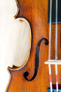 Close-up of violin