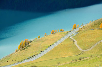 High angle view of road amidst trees against blue sky