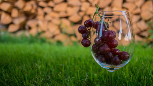 Close-up of grapes in wineglass on field