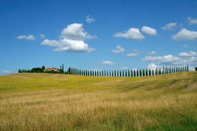 Rural landscape