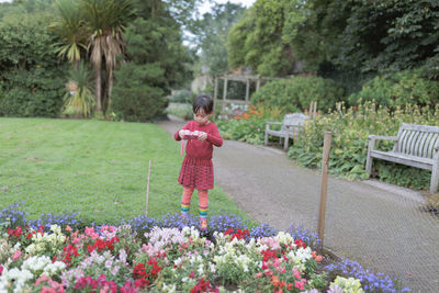 Young girl taking photo in the summer garden morning