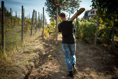 Rear view of man standing in forest