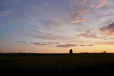 Scenic view of silhouette field against sky during sunset