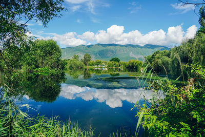 Scenic view of lake by trees against sky