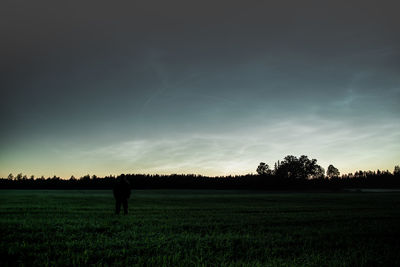 Silhouette trees on field against sky during sunset