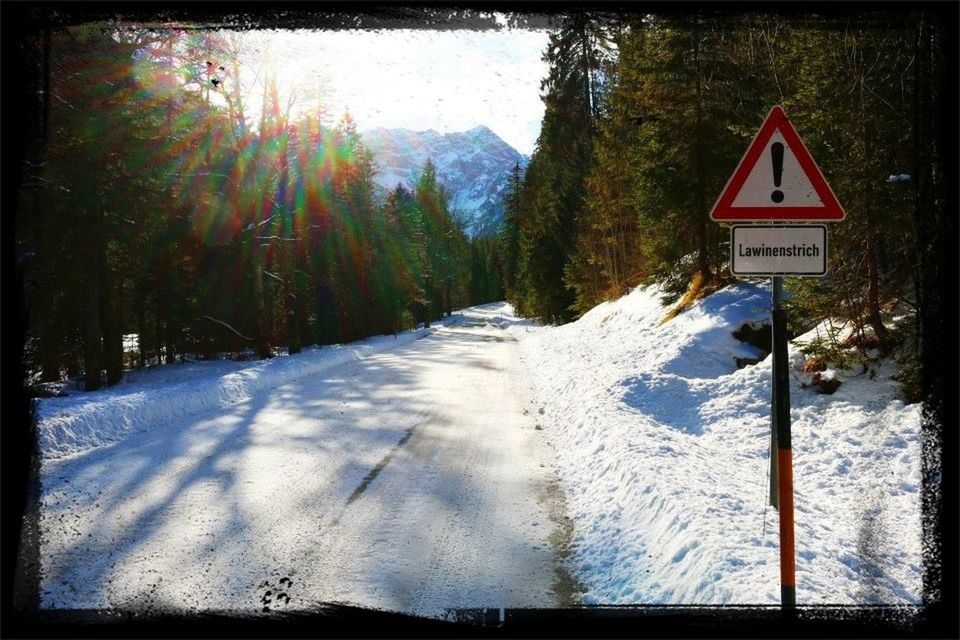 snow, winter, cold temperature, season, tree, transfer print, the way forward, road, road sign, auto post production filter, weather, tranquil scene, tranquility, nature, landscape, transportation, covering, white color, forest, scenics