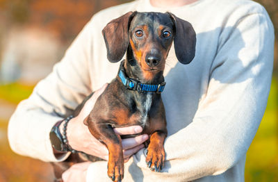 Portrait of dog