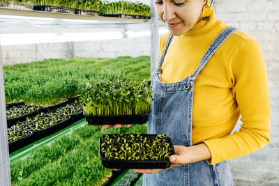 Young female farmer growing microgreens on her indoor vertical garden. happy woman looking 