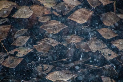 Full frame shot of rocks