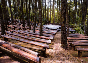 Wooden bench in forest
