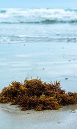 Close-up of sea against sky