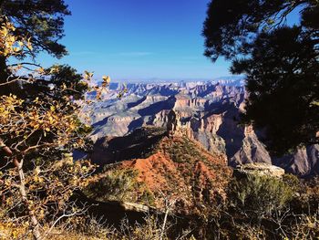 Scenic view of forest against sky