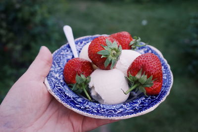 Cropped hand holding strawberries in plate