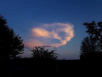 Low angle view of silhouette trees against sky at sunset