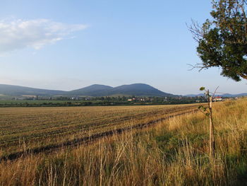 Scenic view of field against sky