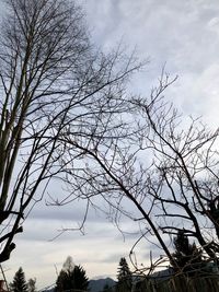 Low angle view of silhouette bare tree against sky