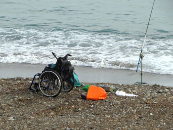 Dog sitting on beach by sea against sky