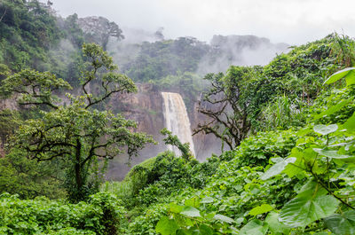 Scenic view of ekom falls, lush rainforest and mountains against foggy sky, cameroon, africa