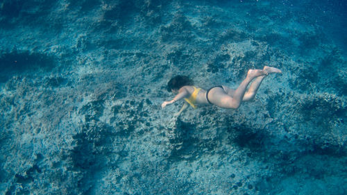 High angle view of person swimming in sea