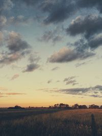 Scenic view of field against sky at sunset