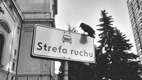 Low angle view of road sign against sky