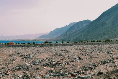 Scenic view of field against clear sky