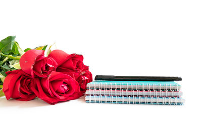 Close-up of red rose against white background