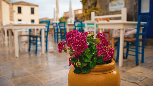 Jar with flowers near an outdoor restaurant in marzamemi city sicily