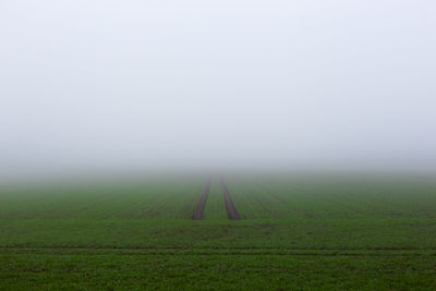 Scenic view of agricultural field against clear sky