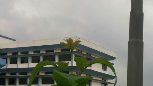 Low angle view of built structure against sky