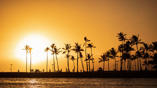 Silhouette palm trees by sea against sky during sunset