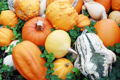 High angle view of pumpkins for sale at market stall