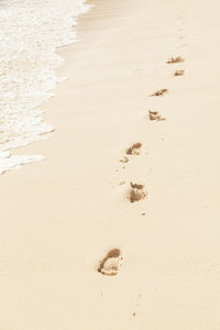 Background of human feet imprint on the beach sand near the water at sunny day, vertical composition