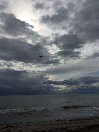 Bird flying over sea against sky