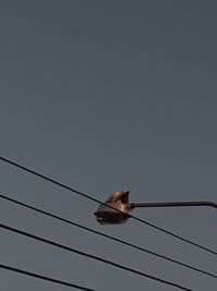 Low angle view of bird on cable against sky