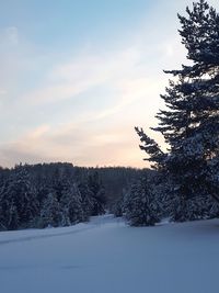 Scenic view of landscape against sky during sunset