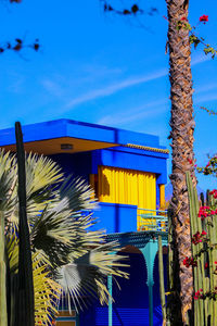 Low angle view of palm trees and buildings against blue sky