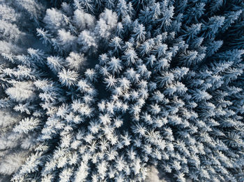 Full frame shot of snowflakes on snow