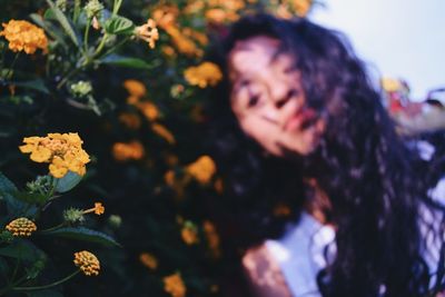 Close-up of flowers against blurred trees