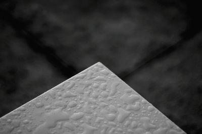 Low angle view of tree against sky