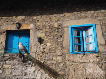 Low angle view of bird perching on window of building