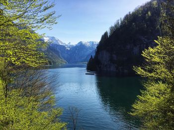 Scenic view of lake in forest against sky