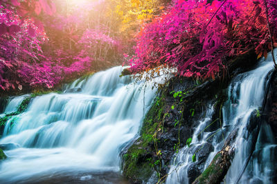 Scenic view of waterfall in forest